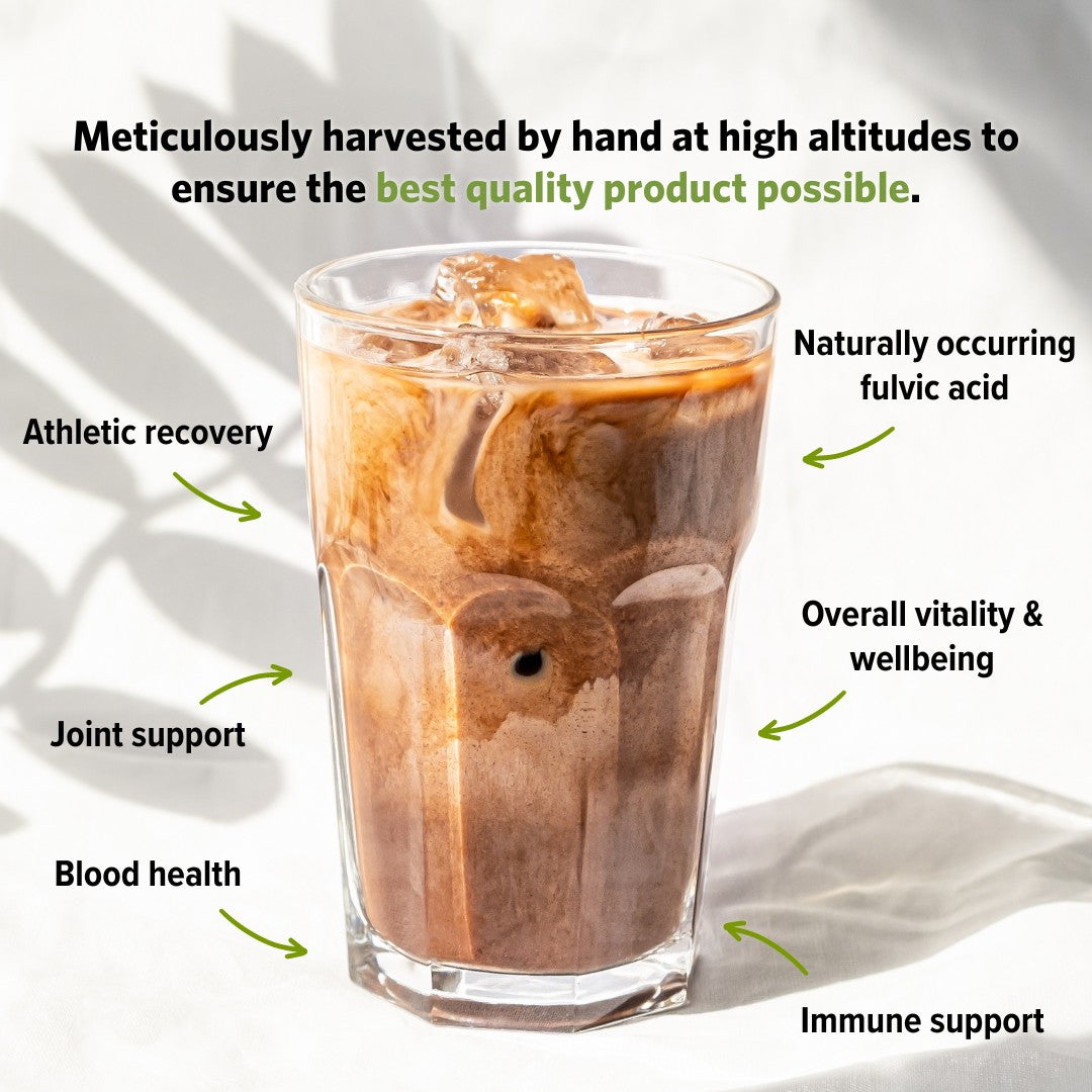 Shilajit Benefits
