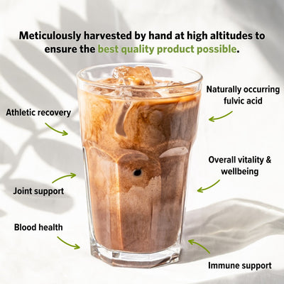 Shilajit Benefits